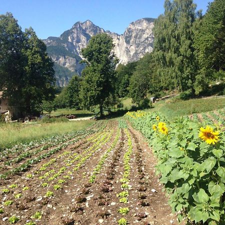 Bauernhof Hof Unternberg Apartment Magre all' Adige ภายนอก รูปภาพ